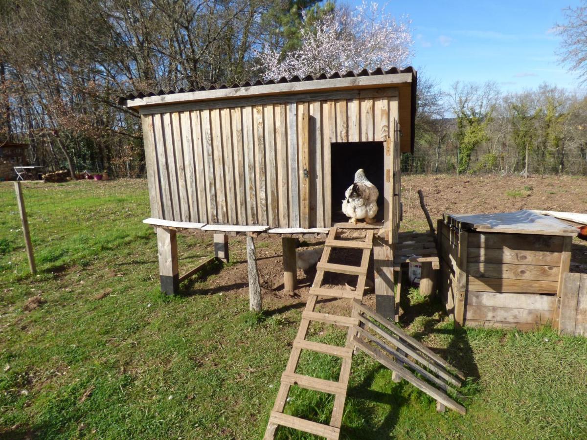 Britavit Acomodação com café da manhã Saint-Avit-Sénieur Exterior foto